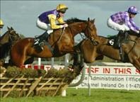 Aintree Horse Racing Package
