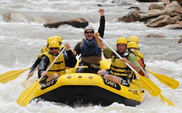 Stag enjoying white water rafting