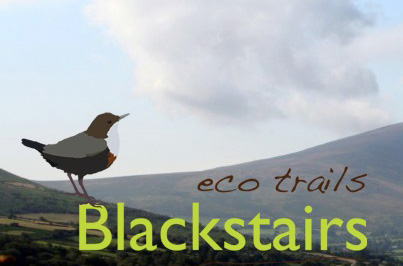 Blackstairs Eco Trails