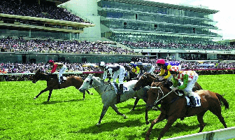 Race day Package Race day Package