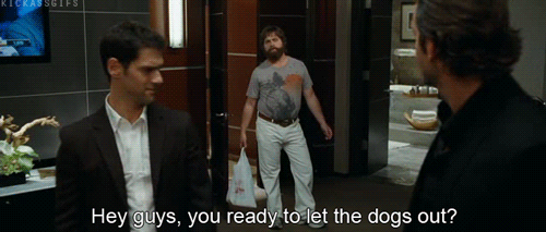the stages of planning a stag party
