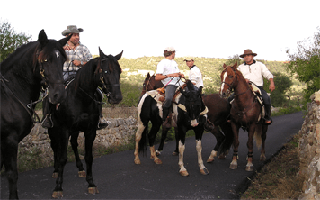 Land Stag Activities in Westport - Stagit.ie