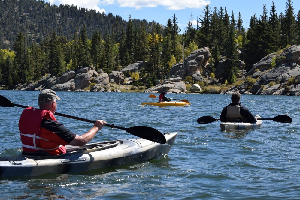 stag doing kayaking
